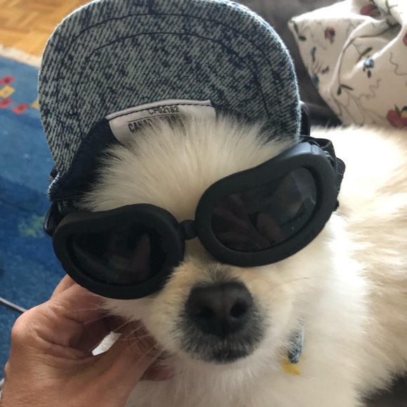 Meet your Posher, Ajacqueline - Picture 4 of 5